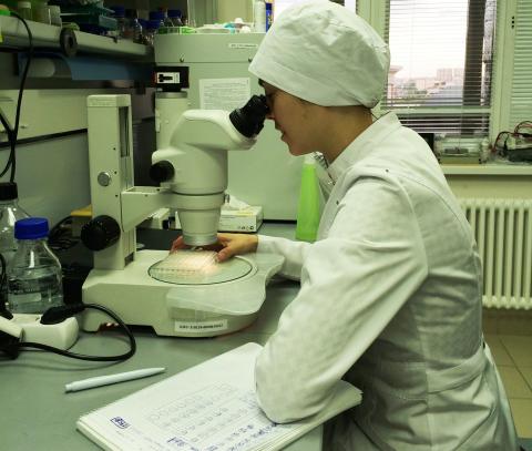 Молодой ученый КФУ разрабатывает метод детоксикации микропластика