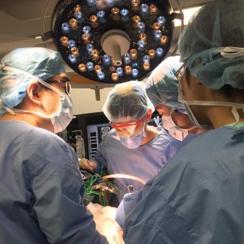 Нейрохирургия и патология в Японии глазами студентов КФУ: взгляд изнутри