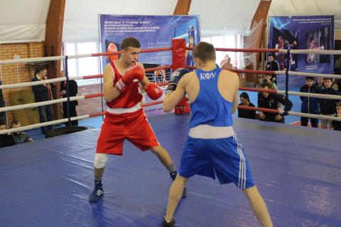 Студенты КФУ принимают участие во всероссийских соревнованиях по боксу