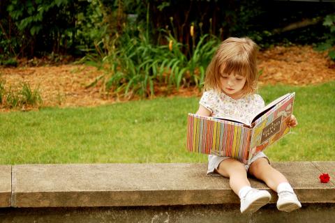 Ученые КФУ работают над национальной концепцией развития детского чтения