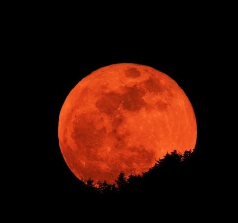 Эксперт КФУ рассказал о природе «кровавой Луны»