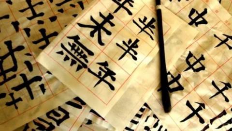 КФУ запускает новые курсы по китайскому языку 