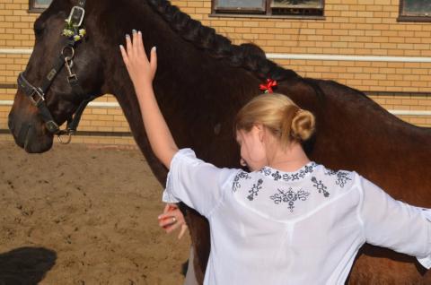 Психологи КФУ развивают новое для России направление психологической коррекции с помощью лошадей 