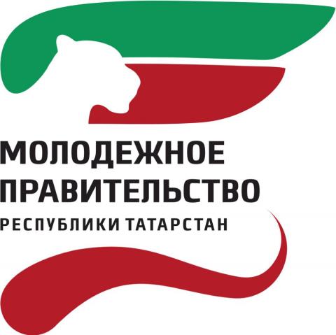 Семь студентов КФУ пройдут переаттестацию в Молодежном правительстве Татарстана
