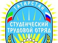 Утверждена концепция развития деятельности студенческих отрядов Татарстана до 2020 года