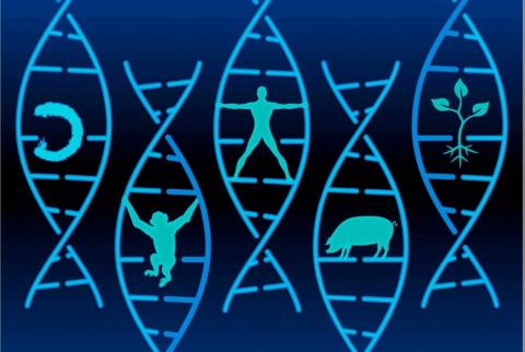 "Жизнь геномов" соберет в КФУ ученых со всего мира