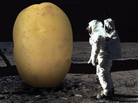Как будут выращивать картофель на Луне, объяснил эксперт КФУ 