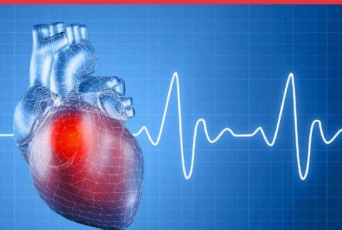 В Казани пройдет Всероссийская научно-практическая конференция, посвященная электрофизиологии сердца 