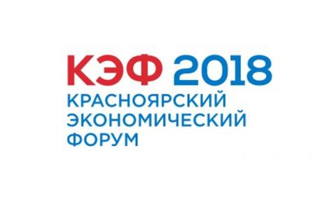 Студент КФУ стал участником Красноярского экономического форума
