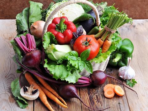 Эксперт КФУ: «Лучшая диета – это здоровое питание»