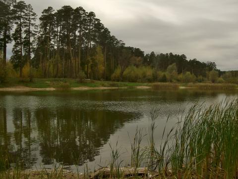 Студенты КФУ выйдут на субботник по посадке водно-болотных растений на озере Большое Лебяжье