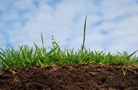 Ученые КФУ изучили влияние повышенного концентрата CO2 на процессы и пулы в почве