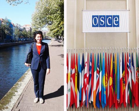 Представитель КФУ стал первым в истории российским участником экспертной сессии ОБСЕ по истории и межэтническим отношениям 