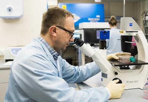 Ученые КФУ планируют участвовать в производстве искусственной конины и осетрины