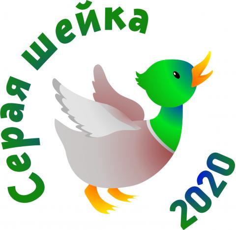 По итогам акции «Серая шейка-2020» численность зимующих уток в Татарстане составила 1458