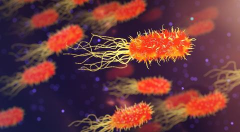 Ученые КФУ расскажут об особенностях иммунитета и различных заболеваний