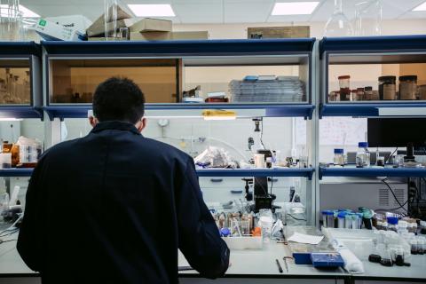 Ученые КФУ создают новое поколение материалов для биосенсоров