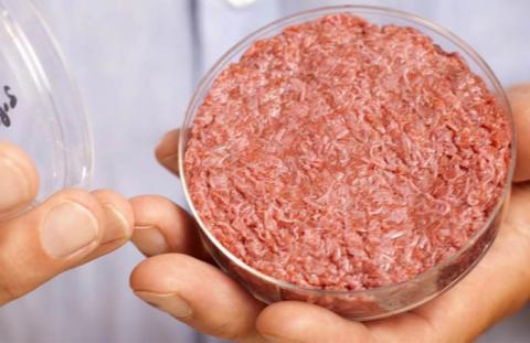 В КФУ научат создавать мясо в лабораторных условиях