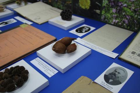 В Музее истории Казанского университета проходит выставка «Ботанический сад. Вехи истории»