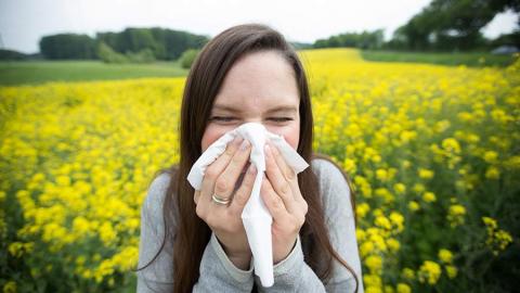 Эксперт КФУ рассказала, как отличить симптомы ОРВИ от аллергии