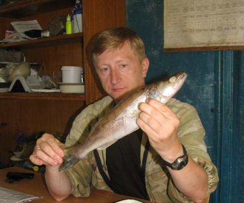 Эксперт КФУ назвал причины исчезновения нескольких видов рыб в Татарстане