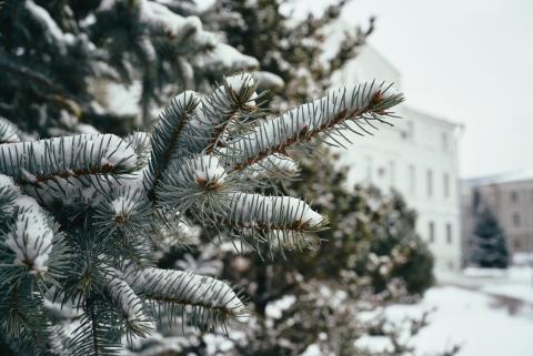 О плюсах и минусах снежной зимы рассказали эксперты КФУ