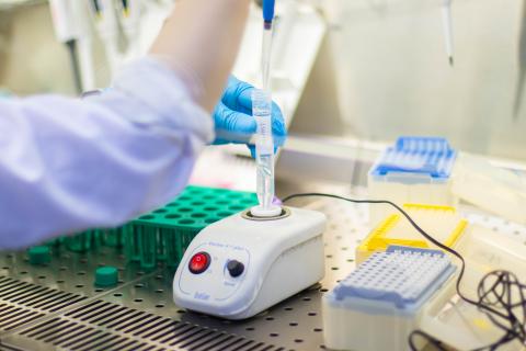 Молодой ученый КФУ исследует тромбоцитарно-лейкоцитарные агрегаты