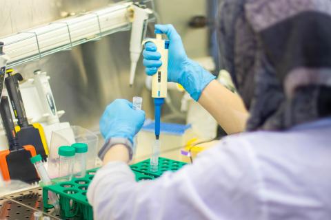 Разработки ученых КФУ лягут в основу производства отечественных препаратов для лечения редких заболеваний