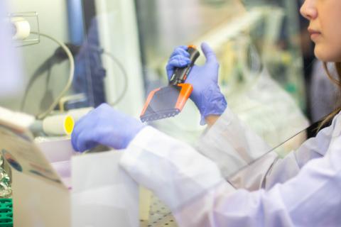 В КФУ открыто шесть лабораторий по направлению «Новая медицина»