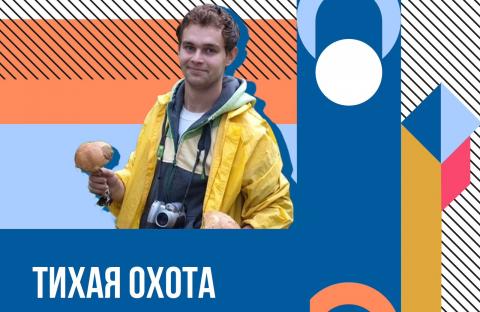 «Научный вердикт»: в КФУ объяснили, как правильно собирать грибы