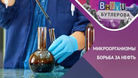 Эксперты КФУ на UNIVER TV – от образа Пушкина до киберпанка и «умных» микроорганизмов 