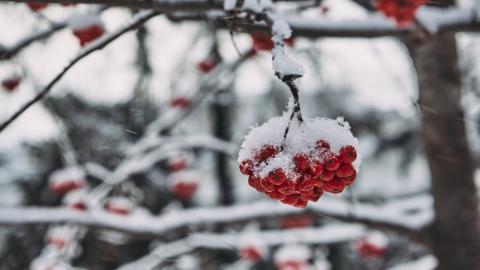 В Татарстане первый снег: комментарий климатолога КФУ