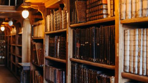 Профессор КФУ объяснила выбор слов года – 2025