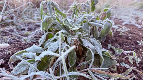 В Казанском университете рассказали о причинах текущих погодных условий в Татарстане