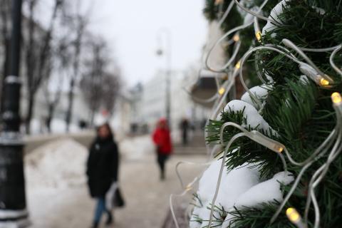 Эксперты КФУ: выбор новогодней ели должен быть осознанным