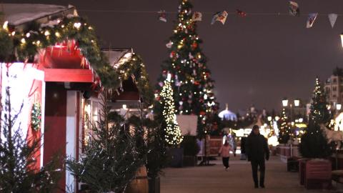 Об опасности новогодних гирлянд предупредил доцент КФУ