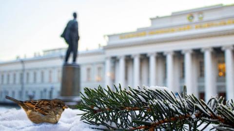 Представители КФУ вошли в топ популяризаторов татарской науки и культуры