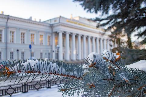 Эколог КФУ рассказала, можно ли использовать хвою в качестве удобрения