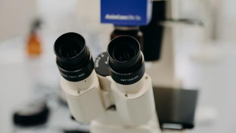 Ученые КФУ разработали новые молекулы, восстанавливающие противоопухолевую функцию «стража генома» – белка p53