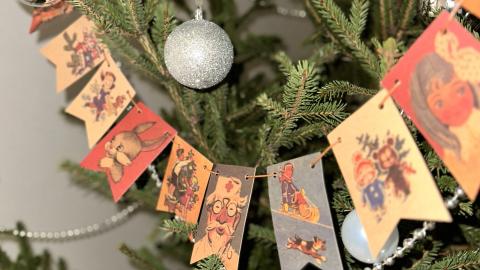 В КФУ «рассчитали» углеродный след от Нового года