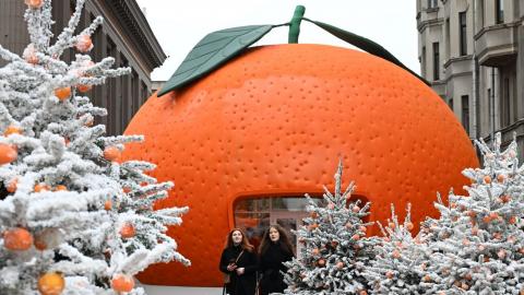 Как выбрать сочные и сладкие мандарины, объяснили в КФУ