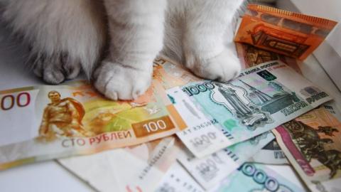 Как распознать сетевую пирамиду и что скрывается за «легкими» деньгами, рассказали в КФУ