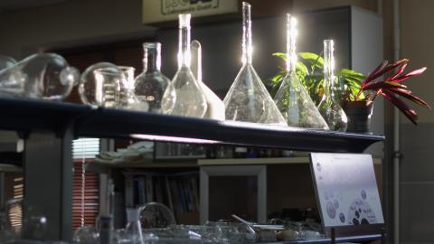 Исследовав содержание изотопов стронция в конодонтах, в КФУ выяснили, как оптимизировать геологоразведочные работы