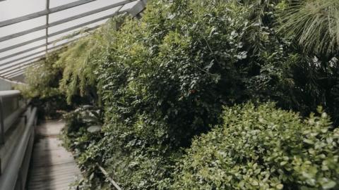 О том, подходит ли зима для посадки растений, рассказали в Казанском университете