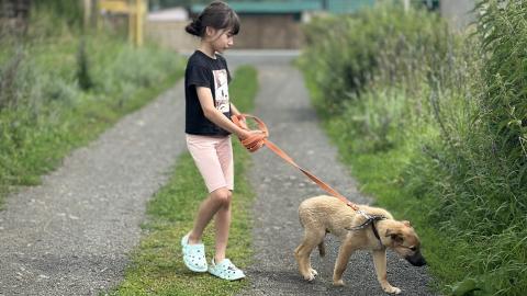 «Мама, купи собаку»: ребенок просит питомца – что делать, ответила психолог КФУ
