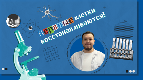 «Научный вердикт»: мифы и тайны клеточного мира