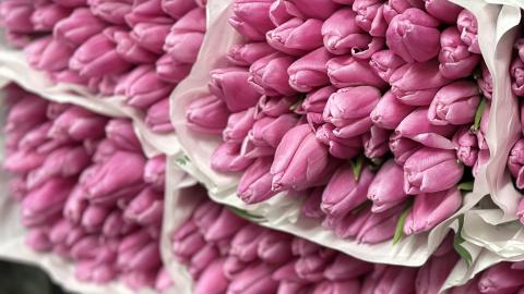 В КФУ дали советы, как выбрать подарки к 23 февраля и 8 марта