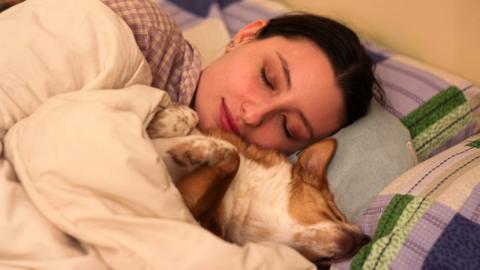 О последствиях привычки откладывать будильник сообщили в КФУ