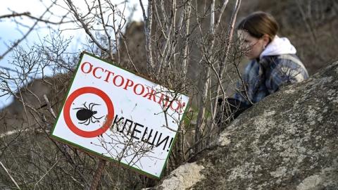 Энтомолог КФУ рассказал, при каком условии проснутся первые клещи
