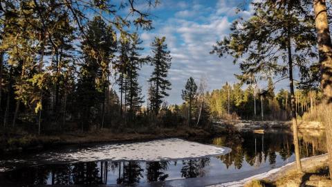 КФУ готовит экологические гуманитарные миссии в новые регионы